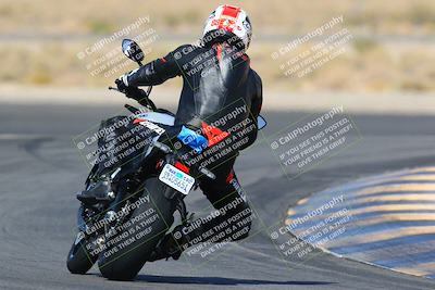 media/Apr-10-2022-SoCal Trackdays (Sun) [[f104b12566]]/Turn 11 Backside (945am)/